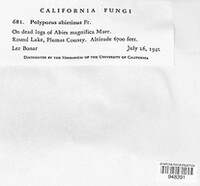 Image Associated With the Occurence